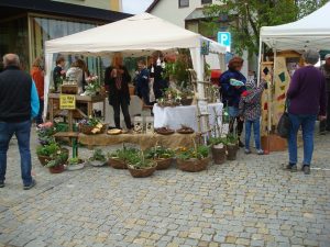 Marktstand mit Pflanzen