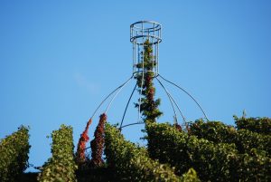 Bocksbeutel aus Draht