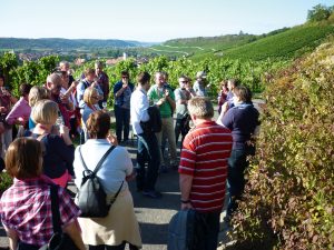 Personen im Weinberg