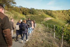 Menschen im Weinberg