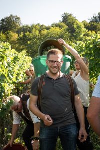 Mann bei der Weinlese