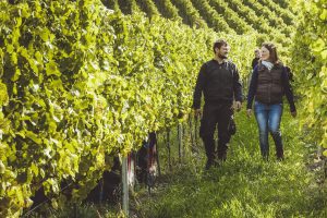 Weinberg und zwei Perosnen